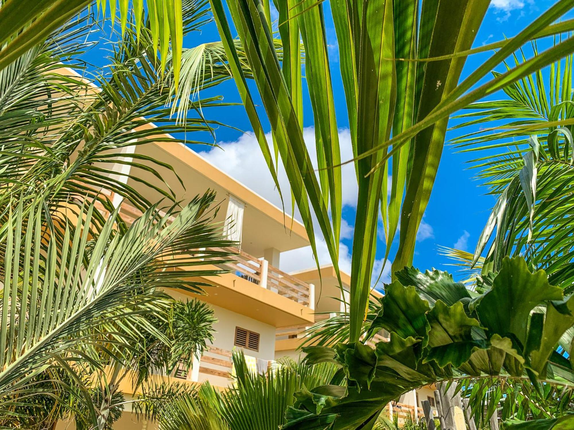 Isla Penthouse & Garden Apartments Bonaire Kralendijk  Exterior photo