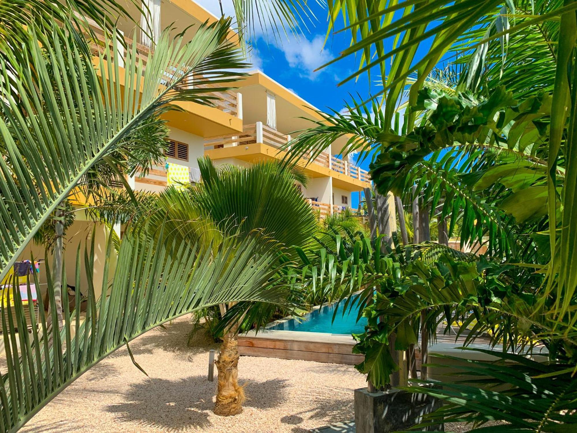 Isla Penthouse & Garden Apartments Bonaire Kralendijk  Exterior photo