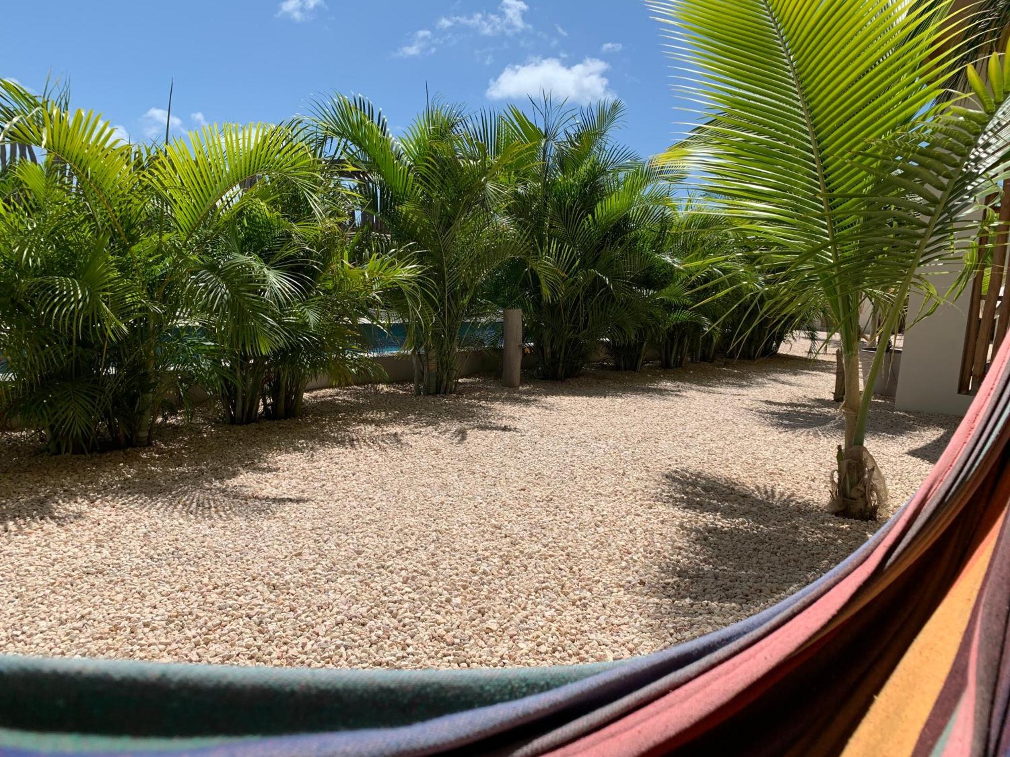 Isla Penthouse & Garden Apartments Bonaire Kralendijk  Exterior photo
