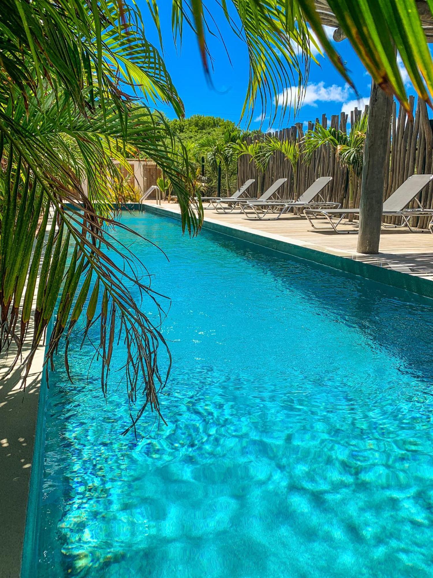 Isla Penthouse & Garden Apartments Bonaire Kralendijk  Exterior photo